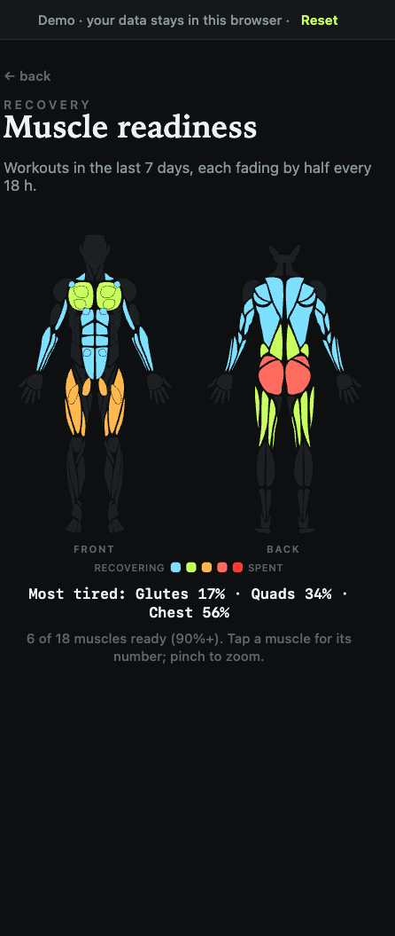 Muscle heat map showing recovery by muscle group
